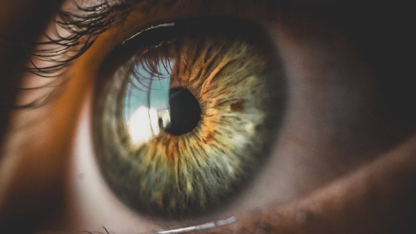 Olo: Nuevo Color Tras 'Hackear' Ojo Humano