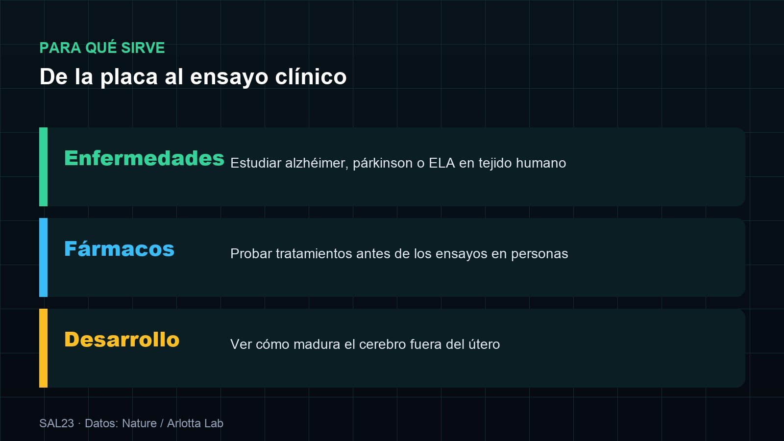 Aplicaciones del estudio: estudiar alzhéimer, párkinson y ELA en tejido humano, probar fármacos antes de los ensayos clínicos y observar el desarrollo del cerebro